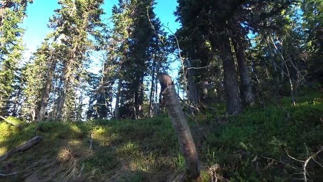 Собираю артефакты и иду на Черную гору смотреть онлайн