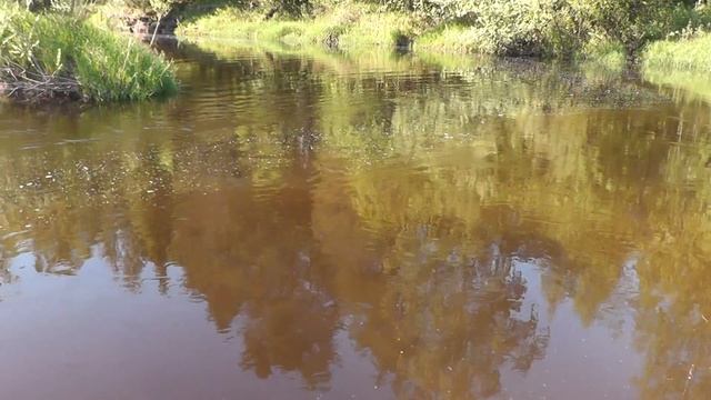 Вот Так Рыбачка! НАТАША ВСЕХ ОБЛОВИТ! Романтичная рыбалка сплавом. Двое в лодке - Б.Р.№683 смотреть онлайн