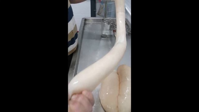 Центрифуга для обработки желудков, глухарки, кудрявки, проходников свиней, синюги, кругов, проходни смотреть онлайн