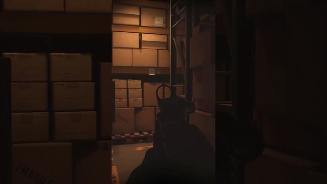Swat Operation in Storage House?| Ready or Not #shorts смотреть онлайн