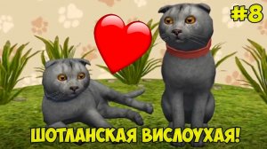 СИМУЛЯТОР КОТА и КОШКИ #8 Вислоухая шотландская на малышерин