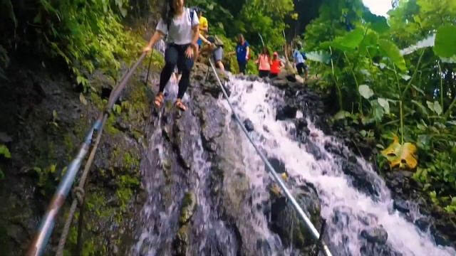 The Nature of East Java Indonesia смотреть онлайн