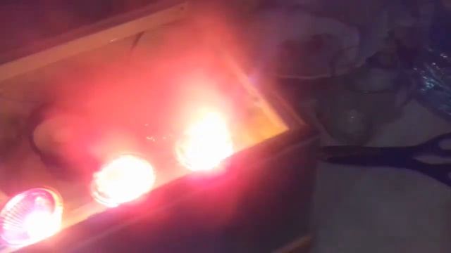 огонь из пара смотреть онлайн