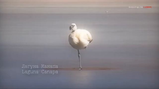 Боливия - путешествие по солончаку Уюни и лагунам / Bolivia. Travel to Salar de Uyuni and lagunas смотреть онлайн