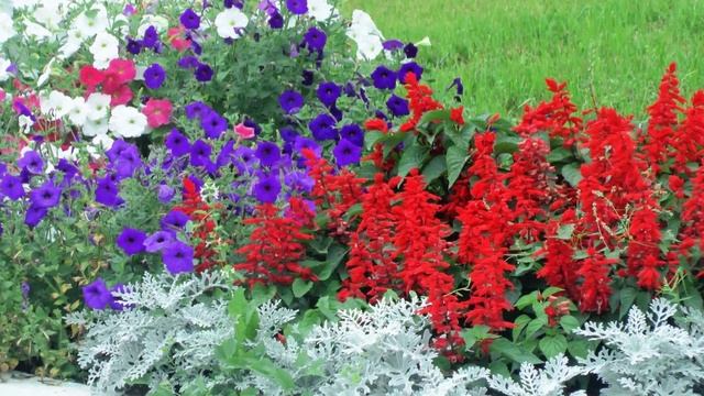 Тетюши цветы смотреть онлайн