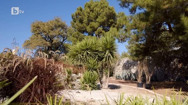 Има ли Валерия проблем с Джия? | "Ергенът" 2023 смотреть онлайн