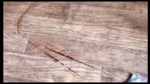 Как легко удалить пятна ржавчины с линолеума