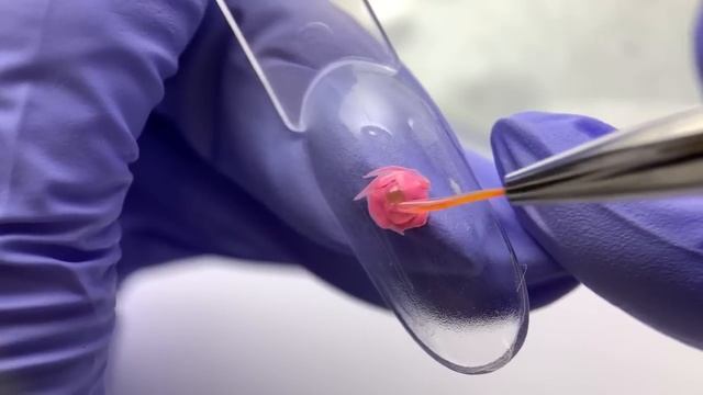 ?? 3Д РОЗА / ПОДРОБНЫЙ МК В МАКРО / ОБЪЕМНАЯ РОЗА НА НОГТЯХ смотреть онлайн