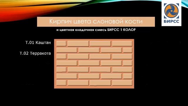 БИРСС 1 КОЛОР - ТЕРРА