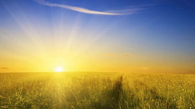 Утренняя Практика Благодарности.