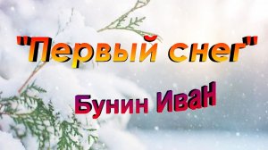 Стихотворение "Первый снег" Иван Бунин