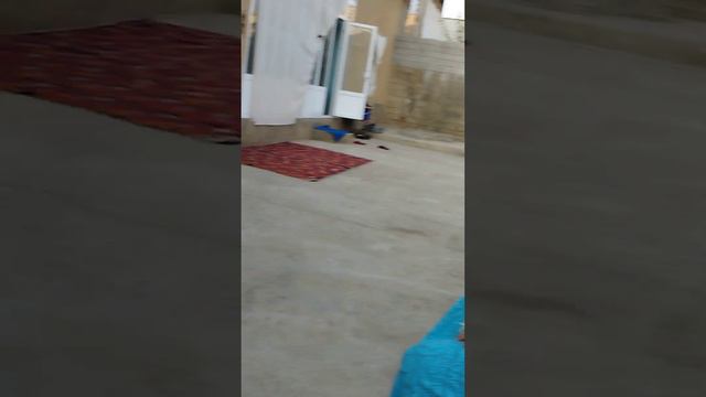 dovul chalish Ahmedovoybek смотреть онлайн