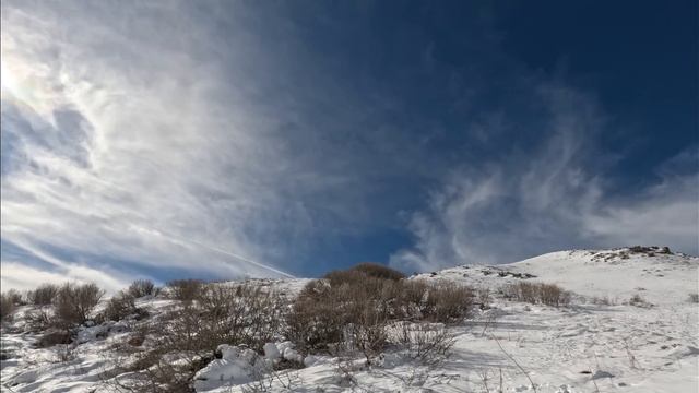 KARLI DAĞLARDA AZILI DOMUZ AVI смотреть онлайн