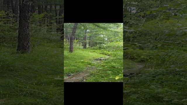 Рядом с природой