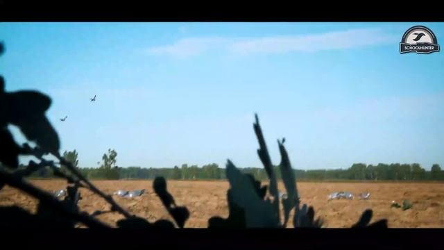 Охота на вяхиря в Рязанской области. смотреть онлайн