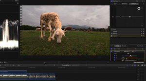 Color Grading DJI Osmo Action 4 D-Log M (Free LUT)