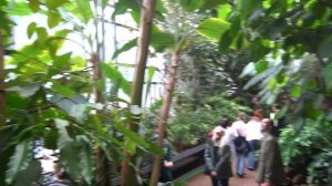 Ботанический сад Петра Великого в Санкт-Петербурге. #Ботаническийсад #БотаническийсадПетравеликого