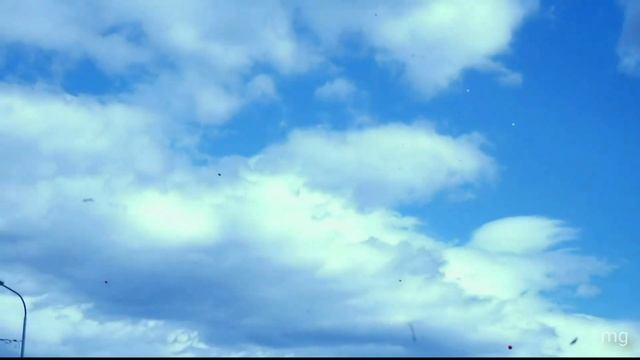 mg: Взлетайте, взлетайте... | Подарок родителей выпускникам 9 классов 2022 смотреть онлайн