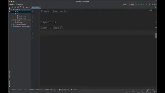 How to delete a folder in Python / it-guru.kz смотреть онлайн