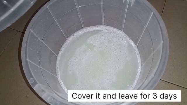 How To Make Bleach At Home In 2024 Full Recipe, Easy For Beginners! #bleachforclothes, #hypobleach