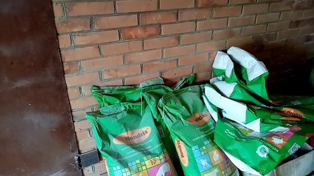 Поросята мого кума.ДОБАВКА.РАЦИОН КОРМЛЕНИЯ. смотреть онлайн