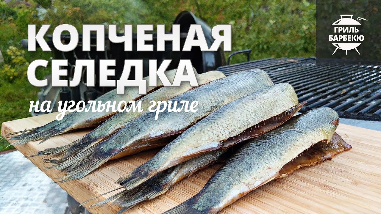 Селедка холодного копчения (рецепт для угольного гриля) смотреть онлайн