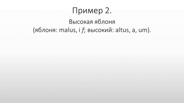 Латинский язык. Lingua Latina. Согласование существительного и прилагательного смотреть онлайн