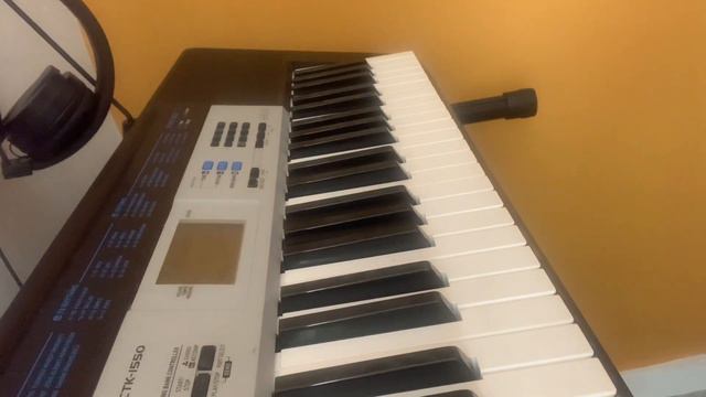 Space echo on Casio ctk 1550 смотреть онлайн