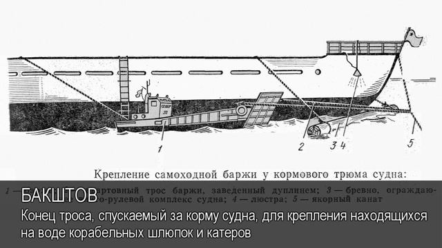 Бакштов. Толковый Видеословарь русского языка смотреть онлайн