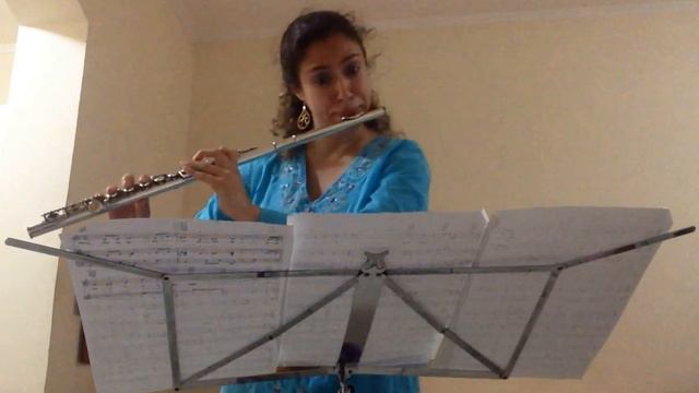 Arabian Nights.Transversal Flute. A Noite Na Arábia. Versão Original.