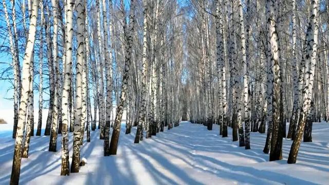 Снеговое раздолье Майский Жук смотреть онлайн