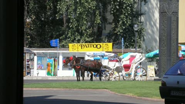 Поездка в Болгарию, часть первая