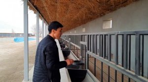 6000$ ТАЙЙОР БЎЛГАН КУЙ БОКИШ УСЛУБИ