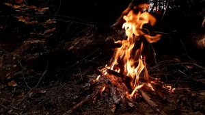 Звуки костра, слушать тишину,горящие дрова,звуки природы для сна,ночной костер в лесу