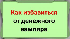 Как избавиться от денежного вампира. Как разорвать с ним связь