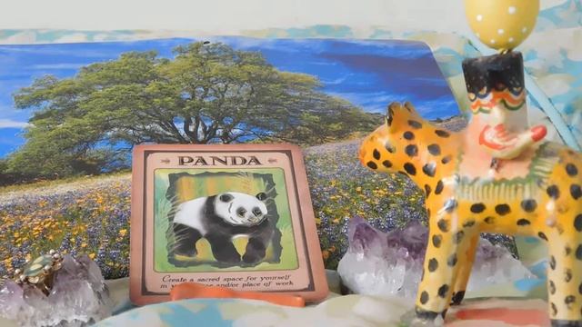 Daily Animal Spirit Guide Oracle Card Reading смотреть онлайн