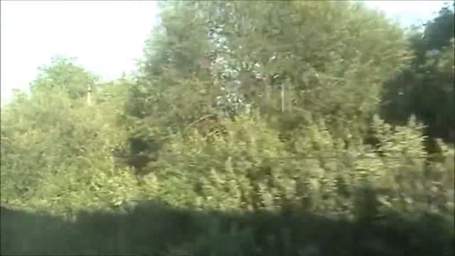 Поездка по БМО. Участок Михнево - Куровская смотреть онлайн