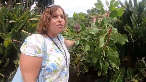 La Gomera, Roque Argando, Garajonay National Park, a UNESCO