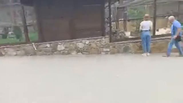 Таёжный Туман, на Юге / Парк Лога смотреть онлайн