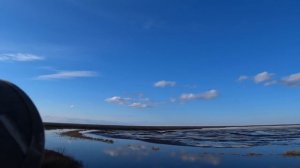 Охота на гуся 2022 Весенний гусь. Поездка в ЯНАО