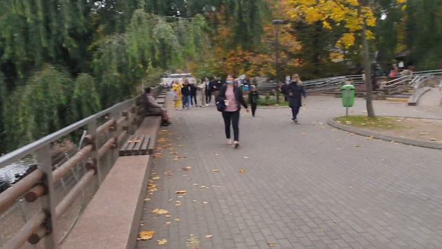 Погулял в Московском Зоопарке смотреть онлайн