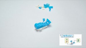 Мир на ладошке: кит