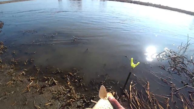 Рыбалка на Глубоком Турунчуке. 09\10\11.04.2021. Рыбалка на Сазана. Большое Течение.