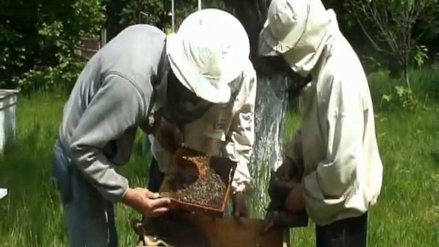 История колледжа смотреть онлайн