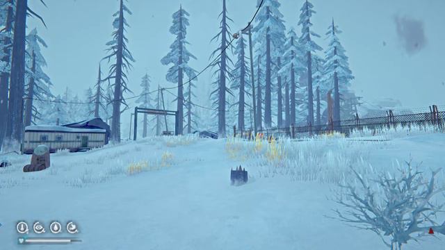 The Long Dark #984 - Mystery Lake Moose arriving Milton - Interloper Day 2950+ смотреть онлайн