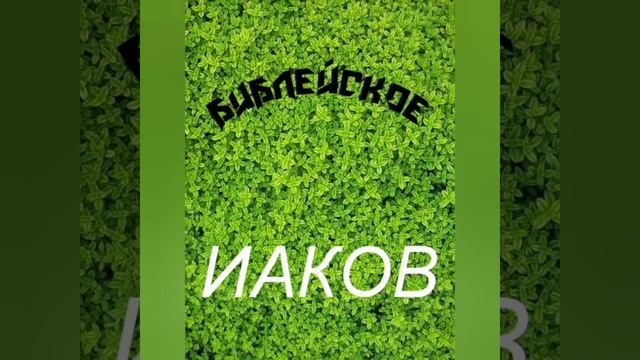ПРОРОК ЯКУБ (А.С) смотреть онлайн