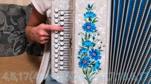 Лирика(Сектор газа) - разбор на гармони