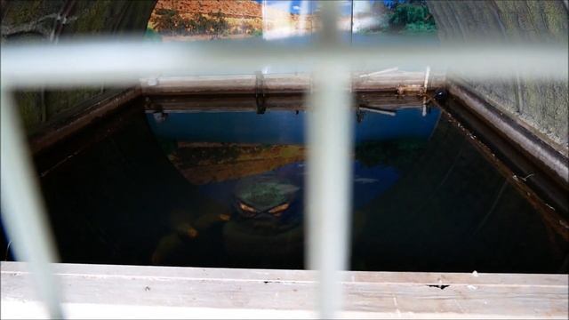 Bertha the Bunyip at Murray Bridge the floods have almost gone but Do Not Disturb Bertha yet please смотреть онлайн