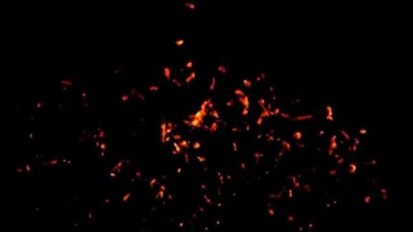 колыбельная волчка