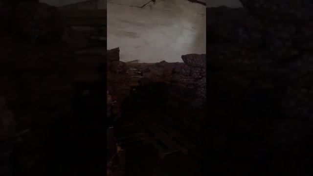 Оптовые продажи семенного картофеля 89182787577 смотреть онлайн